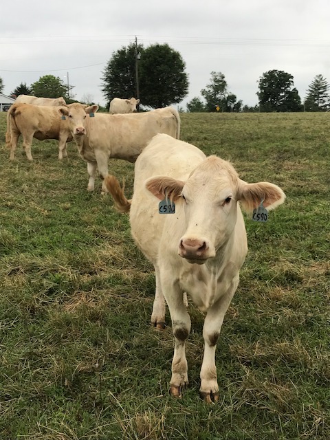 So, God made a farmer…