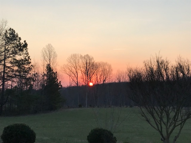 Livin' Hoedown Style