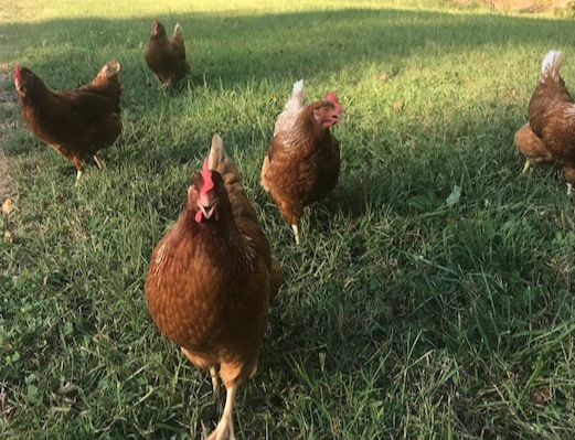 Marketing Your Farm Part 2