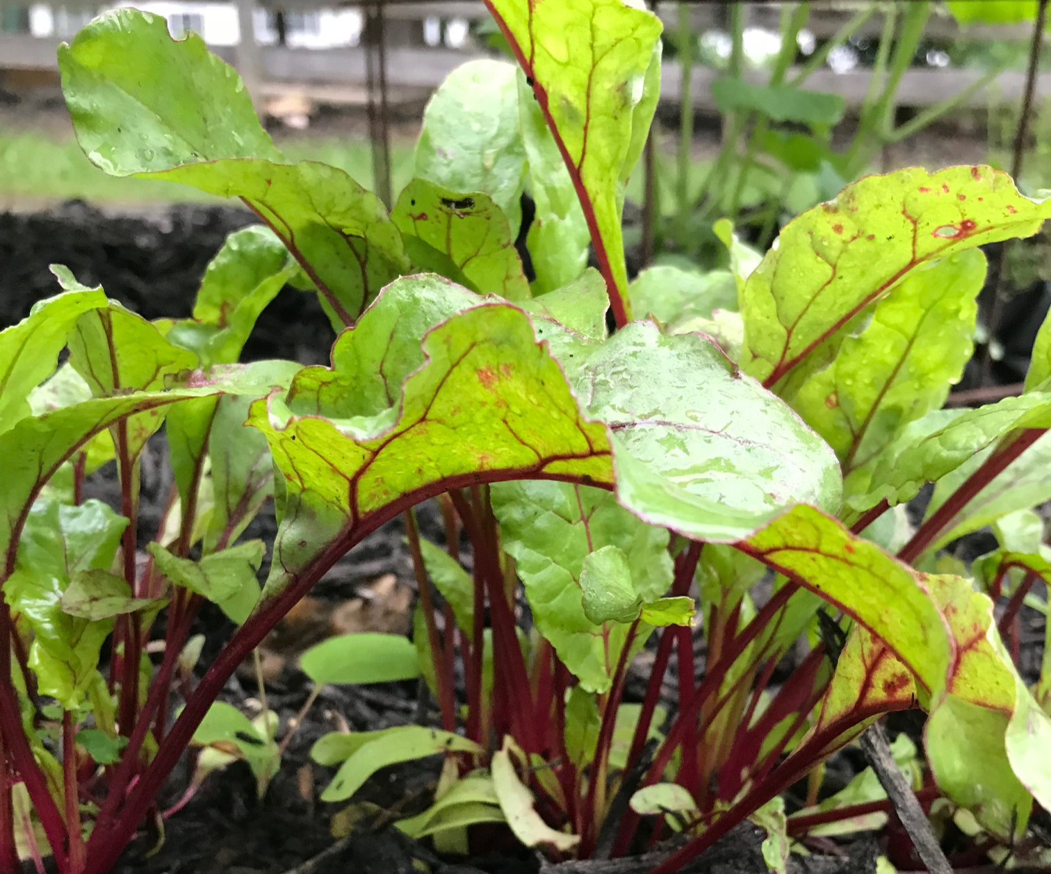 Marketing Your Farm Part 3